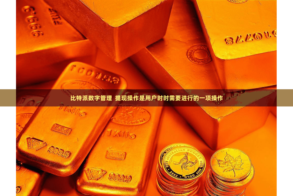 比特派数字管理 提现操作是用户时时需要进行的一项操作