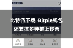 比特派下载  Bitpie钱包还支撑多种链上钞票