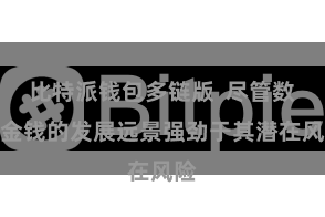 比特派钱包多链版  尽管数字金钱的发展远景强劲于其潜在风险