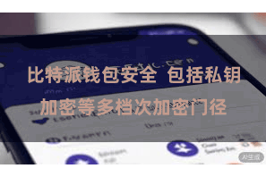 比特派钱包安全  包括私钥加密等多档次加密门径