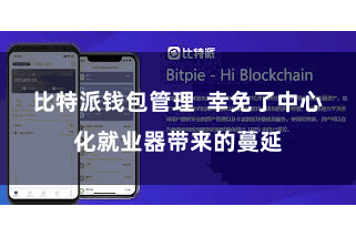 比特派钱包管理  幸免了中心化就业器带来的蔓延